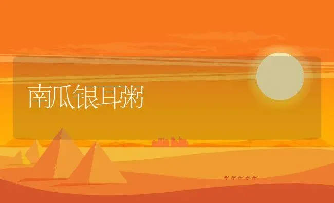 南瓜银耳粥 | 养殖资讯