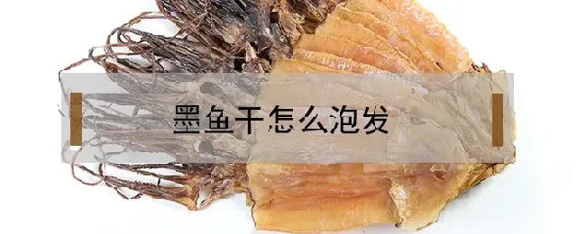 墨鱼干怎么泡发