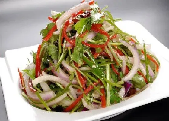 蔬菜|老虎菜是什么菜