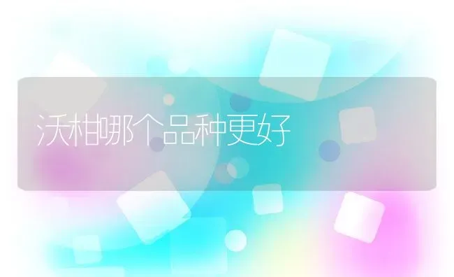 沃柑哪个品种更好 | 养殖资讯
