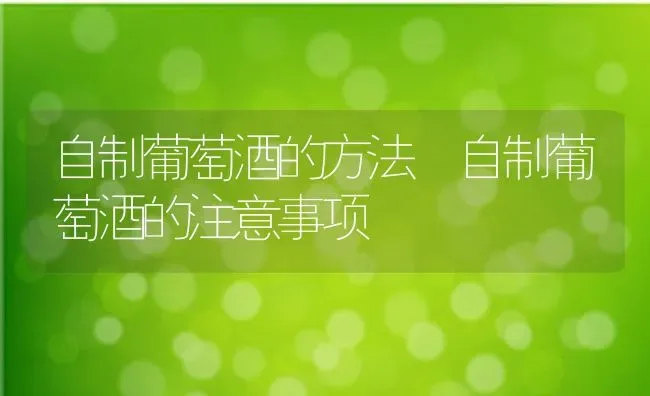 自制葡萄酒的方法 自制葡萄酒的注意事项 | 养殖资料投稿