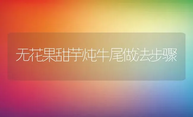 无花果甜芋炖牛尾做法步骤 | 养殖资料投稿