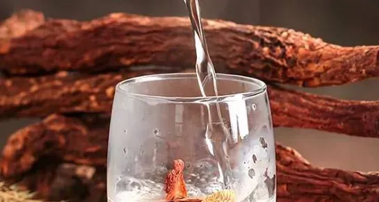 锁阳与什么搭配最壮阳