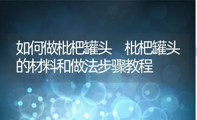 如何做枇杷罐头 枇杷罐头的材料和做法步骤教程 | 养殖资料投稿