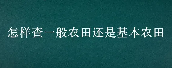 怎样查一般农田还是基本农田