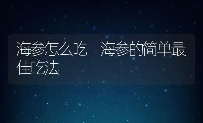 海参怎么吃 海参的简单最佳吃法 | 养殖资料投稿