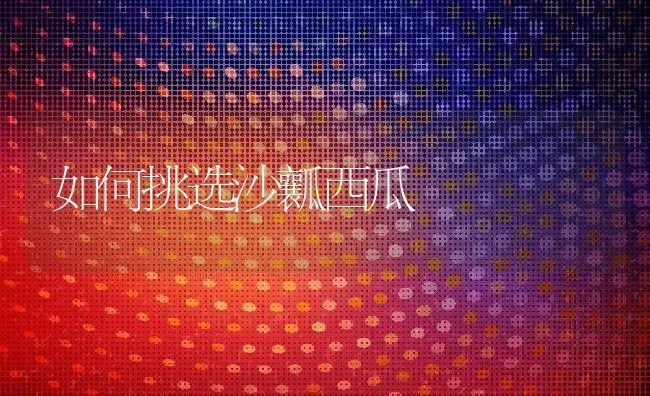 如何挑选沙瓤西瓜 | 养殖资料投稿