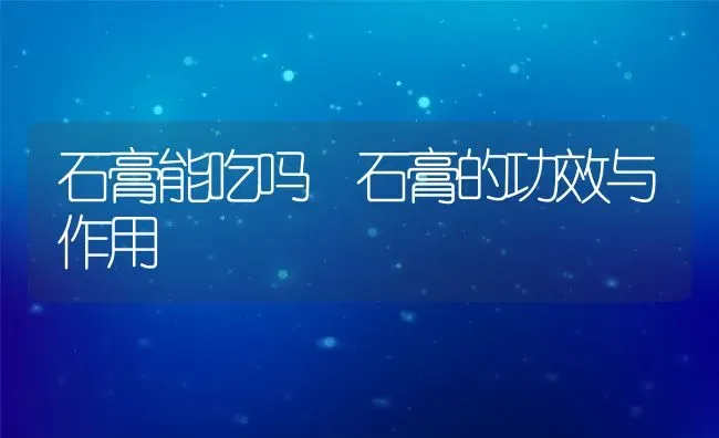 石膏能吃吗 石膏的功效与作用 | 养殖资料投稿