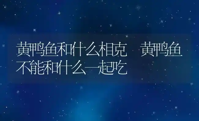 黄鸭鱼和什么相克 黄鸭鱼不能和什么一起吃 | 养殖资料投稿