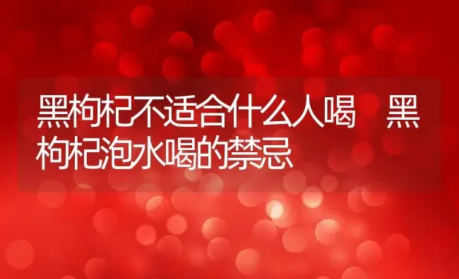 黑枸杞不适合什么人喝 黑枸杞泡水喝的禁忌 | 养殖资料投稿