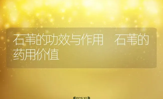 石苇的功效与作用 石苇的药用价值 | 养殖资料投稿