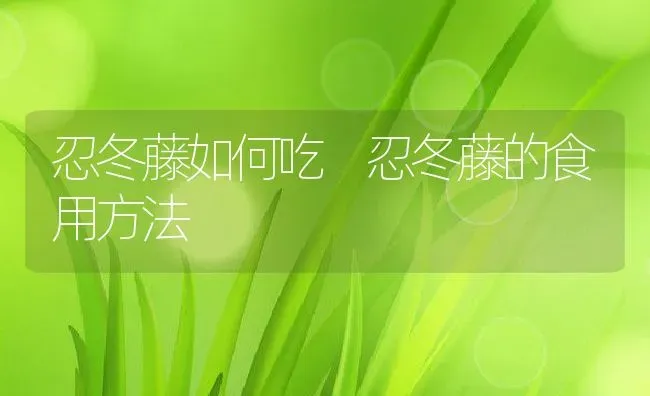 忍冬藤如何吃 忍冬藤的食用方法 | 养殖资料投稿