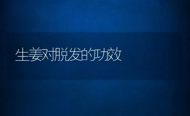 生姜对脱发的功效 | 养殖资料投稿