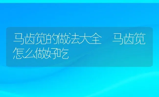 马齿笕的做法大全 马齿笕怎么做好吃 | 养殖资料投稿