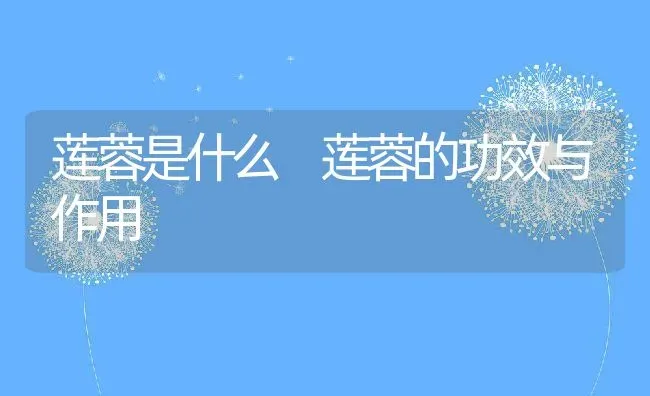 莲蓉是什么 莲蓉的功效与作用 | 养殖资料投稿