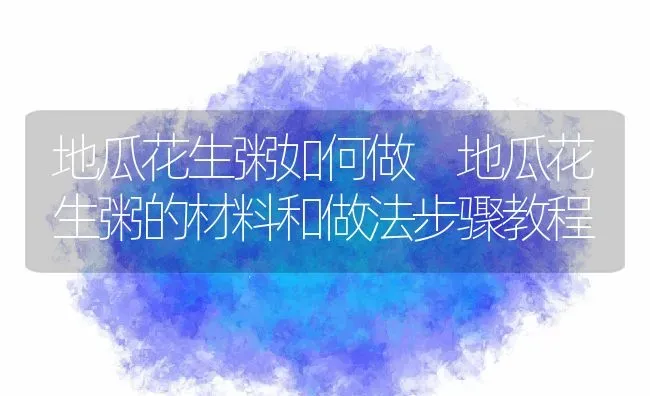 地瓜花生粥如何做 地瓜花生粥的材料和做法步骤教程 | 养殖资讯