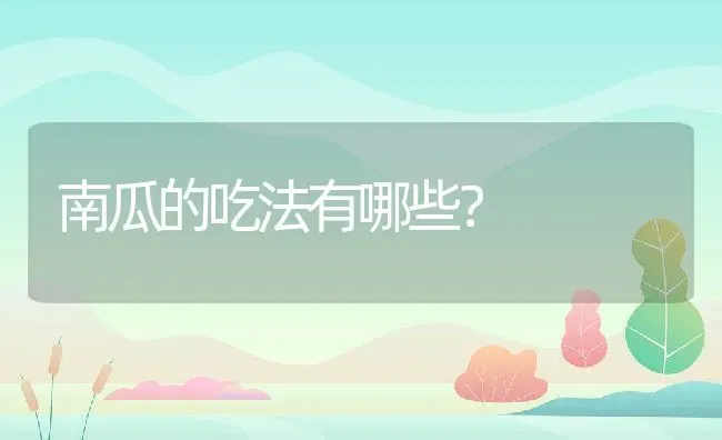 南瓜的吃法有哪些？ | 养殖资料投稿