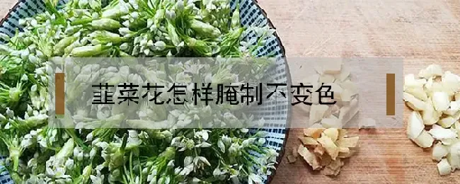 韮菜花怎样腌制不变色