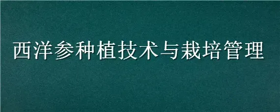 西洋参种植技术与栽培管理