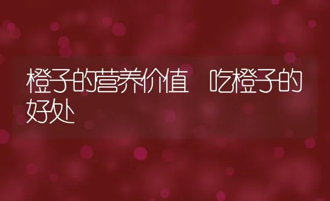 橙子的营养价值 吃橙子的好处 | 养殖资料投稿