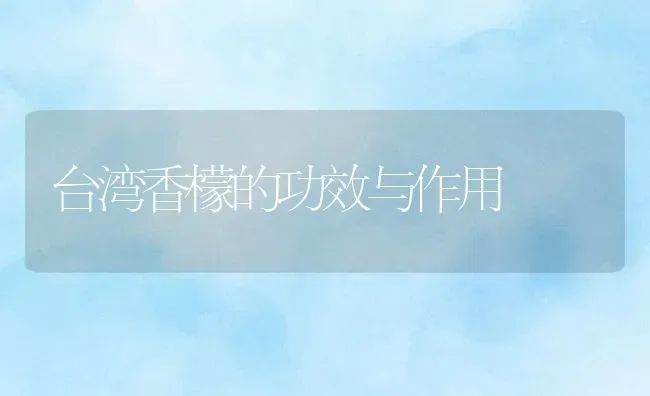 台湾香檬的功效与作用 | 养殖资料投稿