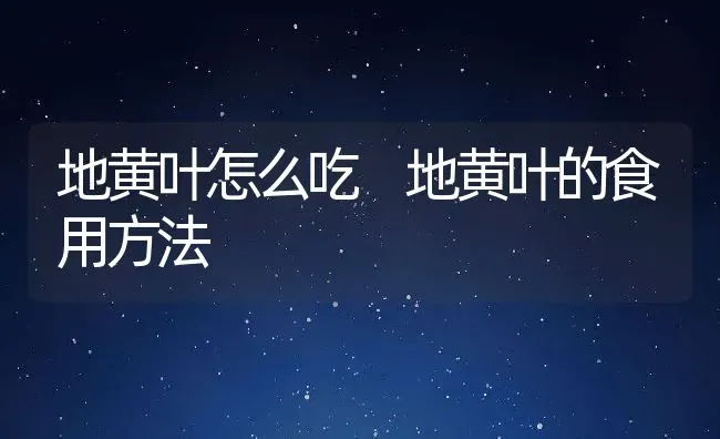 地黄叶怎么吃 地黄叶的食用方法 | 养殖资料投稿