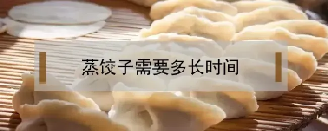 蒸饺子需要多长时间