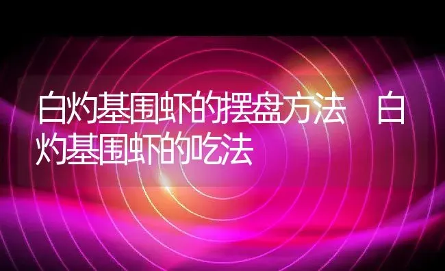 白灼基围虾的摆盘方法 白灼基围虾的吃法 | 养殖资料投稿