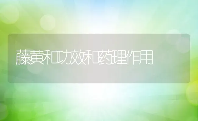 藤黄和功效和药理作用 | 养殖资料投稿