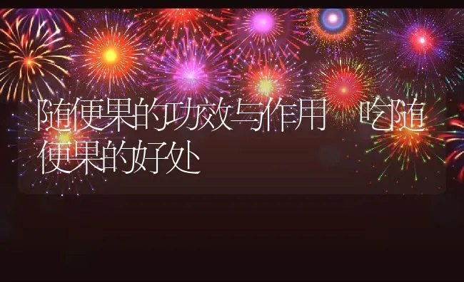 随便果的功效与作用 吃随便果的好处 | 养殖资料投稿