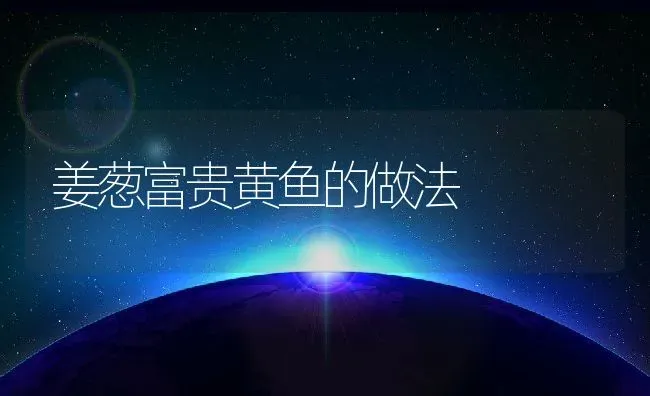 姜葱富贵黄鱼的做法 | 养殖资料投稿