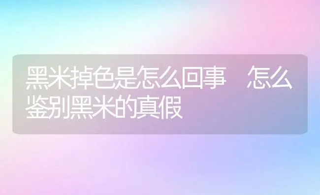 黑米掉色是怎么回事 怎么鉴别黑米的真假 | 养殖资讯