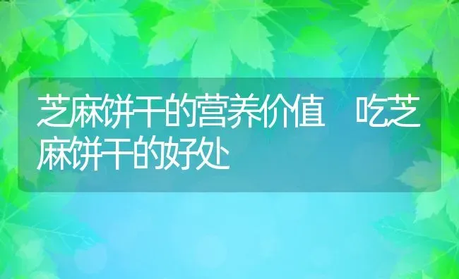 芝麻饼干的营养价值 吃芝麻饼干的好处 | 养殖资料投稿