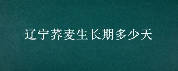 辽宁荞麦生长期多少天