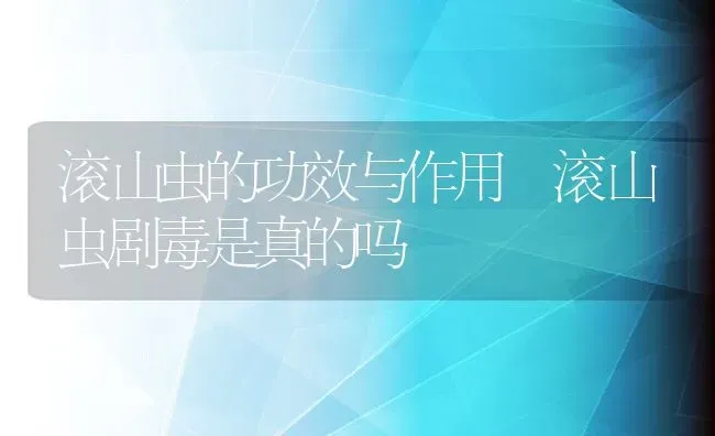 滚山虫的功效与作用 滚山虫剧毒是真的吗 | 养殖资料投稿