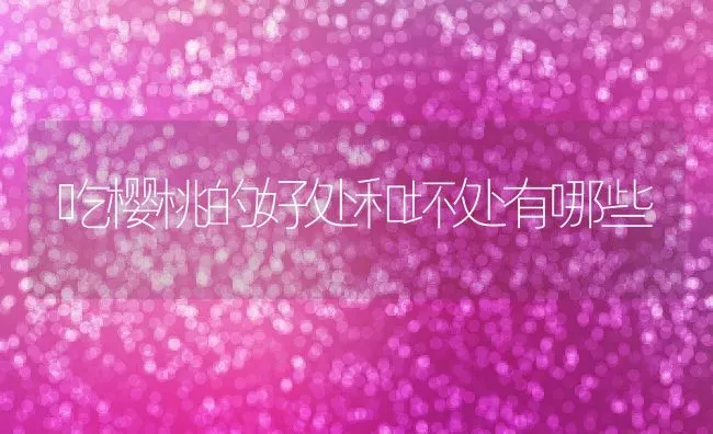 吃樱桃的好处和坏处有哪些 | 养殖资料投稿