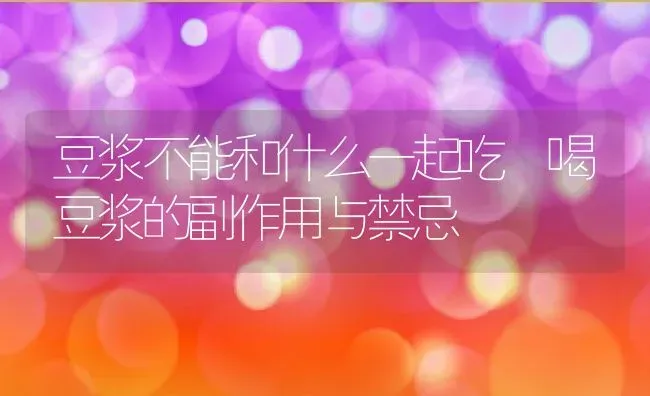 豆浆不能和什么一起吃 喝豆浆的副作用与禁忌 | 养殖资料投稿