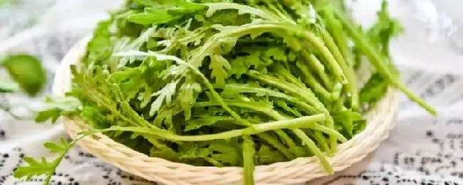 皇帝菜是不是茼蒿？