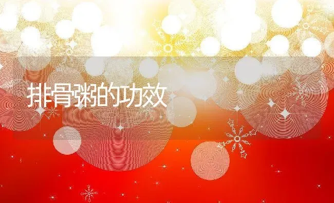 排骨粥的功效 | 养殖资料投稿