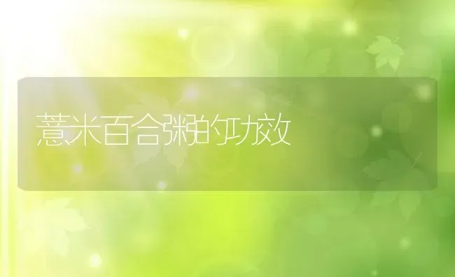 薏米百合粥的功效 | 养殖资料投稿
