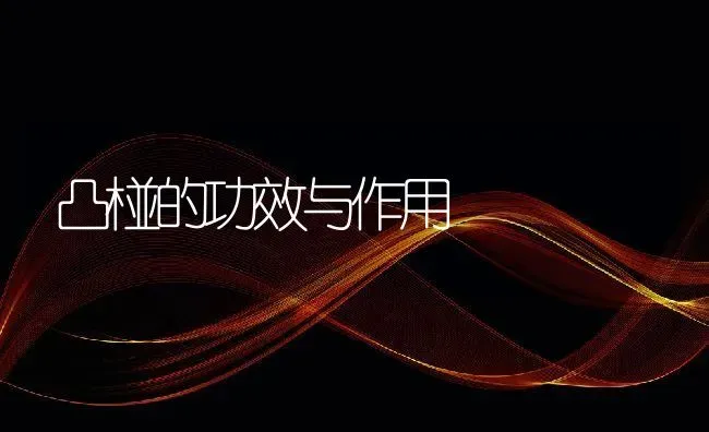 凸椪的功效与作用 | 养殖资料投稿