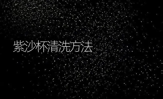 紫沙杯清洗方法 | 养殖资料投稿