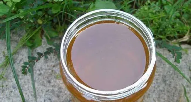 柑橘蜜和荔枝蜜哪个好？
