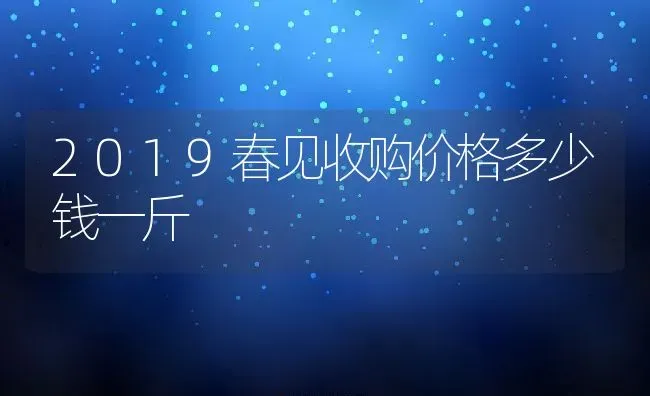2019春见收购价格多少钱一斤 | 养殖资讯