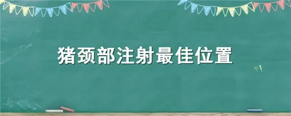 猪颈部注射最佳位置