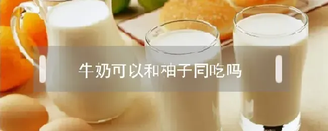 牛奶可以和柚子同吃吗