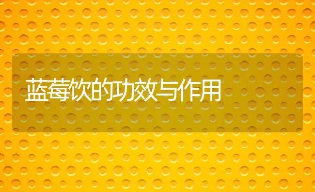 蓝莓饮的功效与作用 | 养殖资料投稿