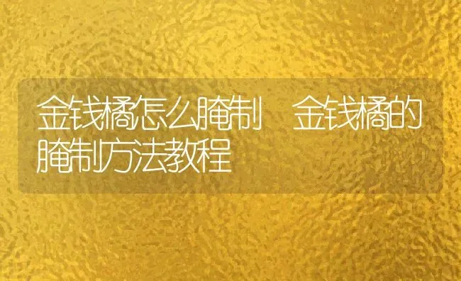 金钱橘怎么腌制 金钱橘的腌制方法教程 | 养殖资料投稿