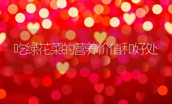 吃绿花菜的营养价值和好处 | 养殖资料投稿