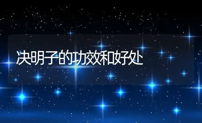 决明子的功效和好处 | 养殖资料投稿
